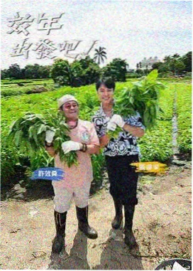 标签体系资讯配图